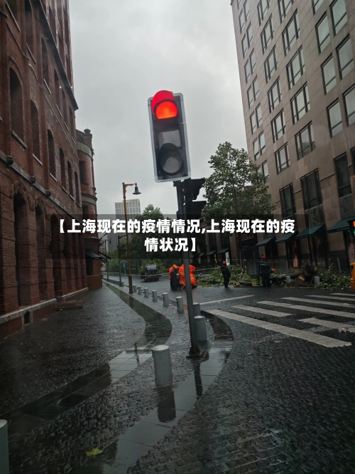 【上海现在的疫情情况,上海现在的疫情状况】-第2张图片