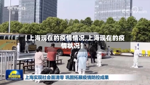 【上海现在的疫情情况,上海现在的疫情状况】-第3张图片