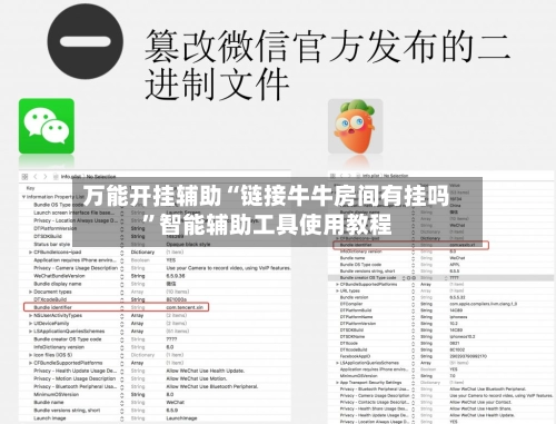万能开挂辅助“链接牛牛房间有挂吗”智能辅助工具使用教程-第3张图片