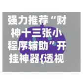 强力推荐“财神十三张小程序辅助”开挂神器{透视辅助}全揭秘-第2张图片