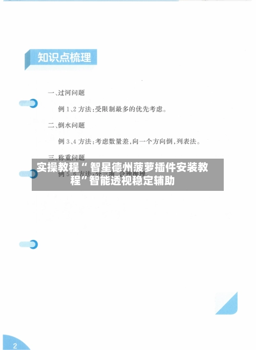 实操教程“ 智星德州菠萝插件安装教程”智能透视稳定辅助-第3张图片