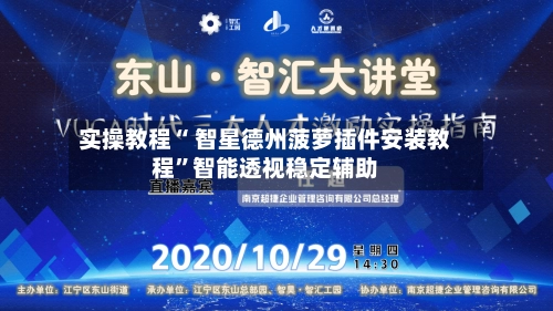 实操教程“ 智星德州菠萝插件安装教程”智能透视稳定辅助