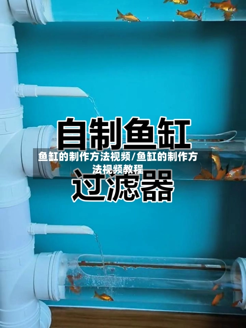鱼缸的制作方法视频/鱼缸的制作方法视频教程-第2张图片