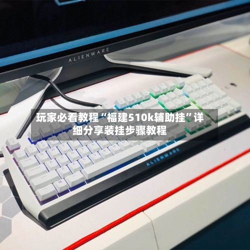 玩家必看教程“福建510k辅助挂	”详细分享装挂步骤教程-第3张图片