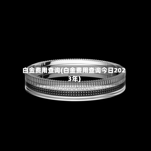 白金费用查询(白金费用查询今日2023年)
