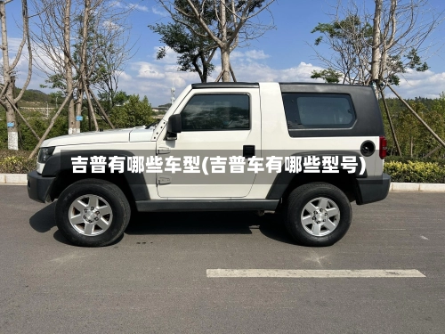 吉普有哪些车型(吉普车有哪些型号)