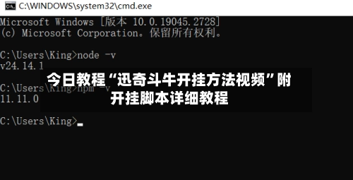 今日教程“迅奇斗牛开挂方法视频”附开挂脚本详细教程-第2张图片