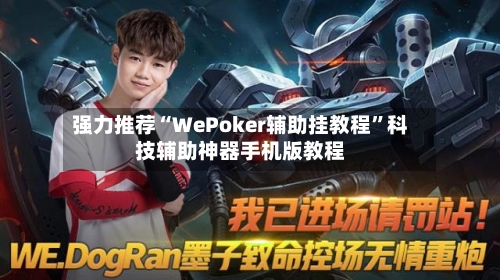 强力推荐“WePoker辅助挂教程”科技辅助神器手机版教程-第2张图片