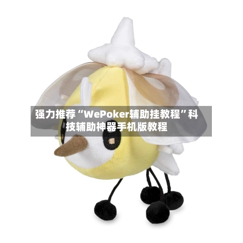 强力推荐“WePoker辅助挂教程	”科技辅助神器手机版教程-第3张图片