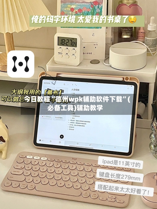 今日教程“德州wpk辅助软件下载”(必备工具)辅助教学-第2张图片