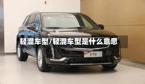 轻混车型/轻混车型是什么意思-第2张图片