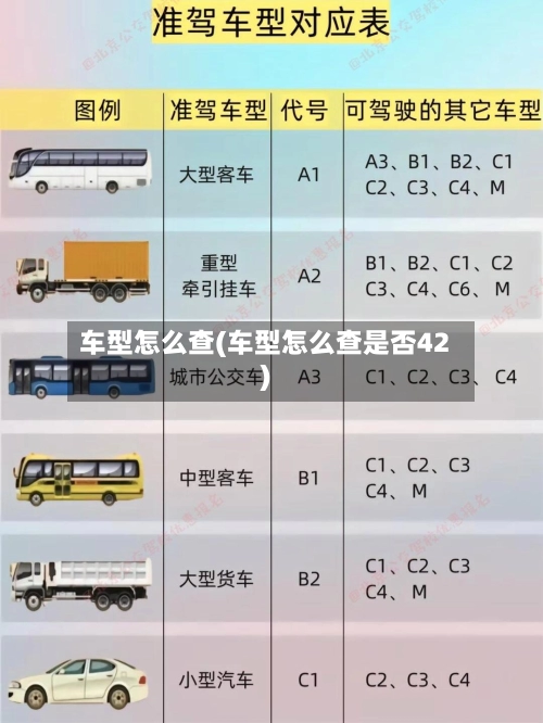 车型怎么查(车型怎么查是否42)-第2张图片