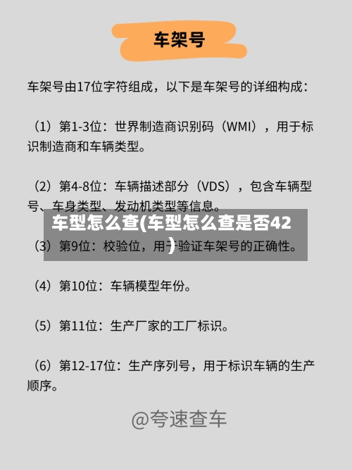 车型怎么查(车型怎么查是否42)