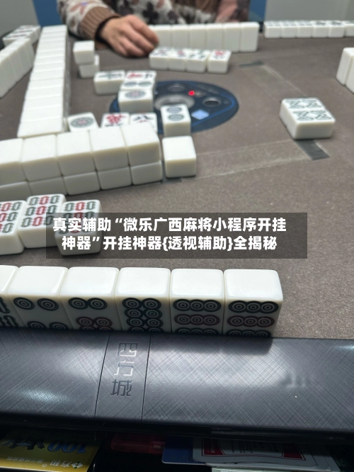 真实辅助“微乐广西麻将小程序开挂神器”开挂神器{透视辅助}全揭秘-第3张图片