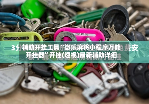 辅助开挂工具“微乐麻将小程序万能开挂器”开挂(透视)最新辅助详细-第3张图片