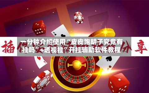 一分钟介绍使用“皮皮跑胡子究竟有挂吗”+透视挂”开挂辅助软件教程-第2张图片