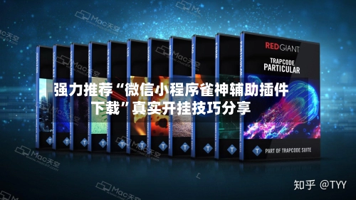强力推荐“微信小程序雀神辅助插件下载”真实开挂技巧分享-第2张图片