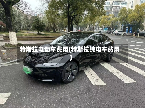 特斯拉电动车费用(特斯拉纯电车费用)-第3张图片