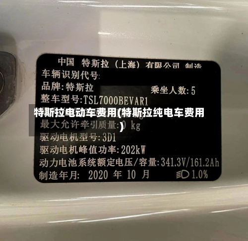 特斯拉电动车费用(特斯拉纯电车费用)