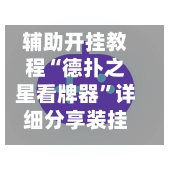 辅助开挂教程“德扑之星看牌器”详细分享装挂步骤教程