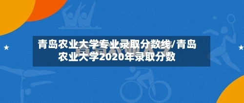 青岛农业大学专业录取分数线/青岛农业大学2020年录取分数-第2张图片