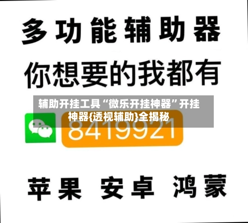 辅助开挂工具“微乐开挂神器”开挂神器{透视辅助}全揭秘-第3张图片