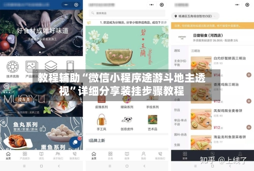 教程辅助“微信小程序途游斗地主透视	”详细分享装挂步骤教程-第2张图片