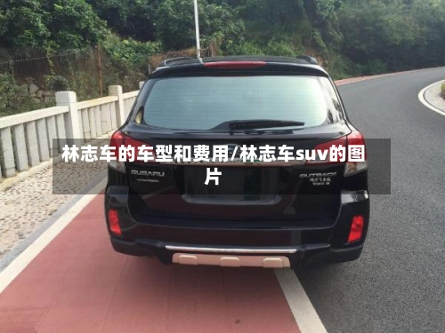 林志车的车型和费用/林志车suv的图片-第2张图片
