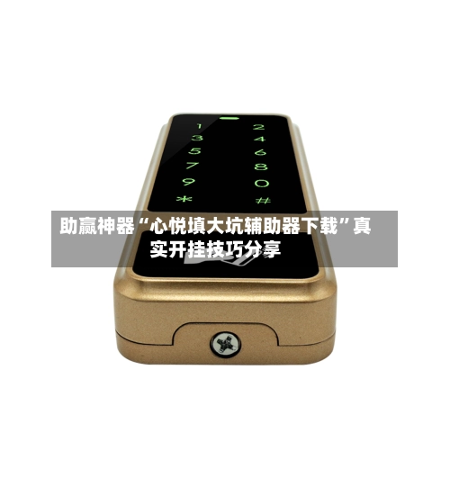 助赢神器“心悦填大坑辅助器下载”真实开挂技巧分享