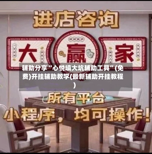 辅助分享“心悦填大坑辅助工具”(免费)开挂辅助教学(最新辅助开挂教程)-第3张图片