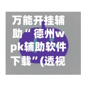 万能开挂辅助“ 德州wpk辅助软件下载”(透视挂)辅助下载教程-第2张图片