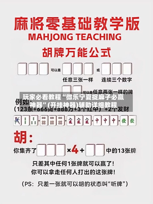 玩家必看教程“微乐宁夏捉麻子必赢神器	”(开挂神器)辅助详细教程-第3张图片