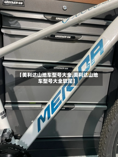 【美利达山地车型号大全,美利达山地车型号大全软尾】-第2张图片