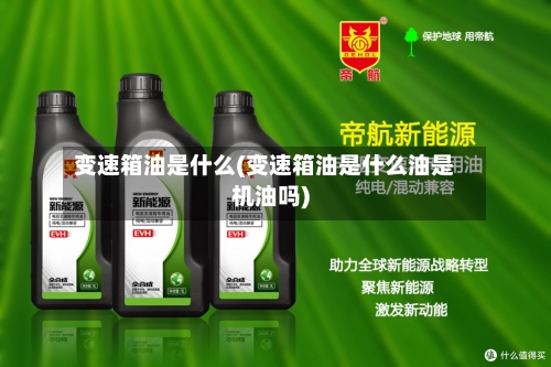 变速箱油是什么(变速箱油是什么油是机油吗)