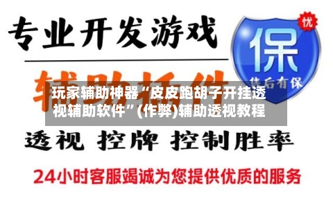 玩家辅助神器“皮皮跑胡子开挂透视辅助软件”(作弊)辅助透视教程
