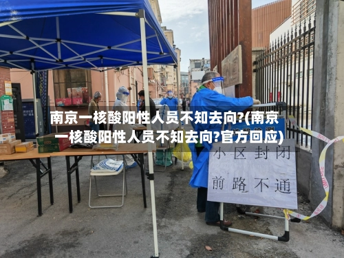 南京一核酸阳性人员不知去向?(南京一核酸阳性人员不知去向?官方回应)-第3张图片