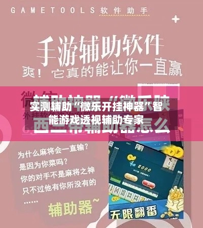 实测辅助“微乐开挂神器”智能游戏透视辅助专家