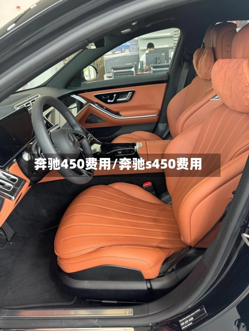 奔驰450费用/奔驰s450费用