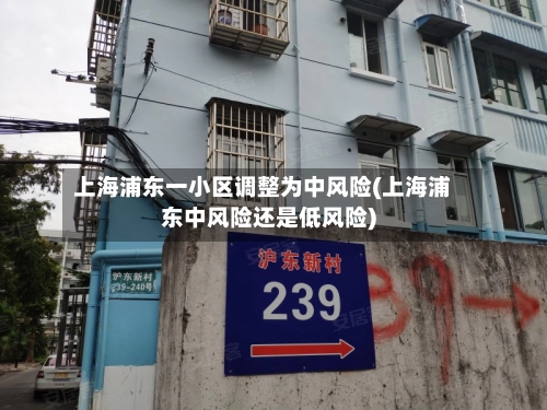 上海浦东一小区调整为中风险(上海浦东中风险还是低风险)-第2张图片