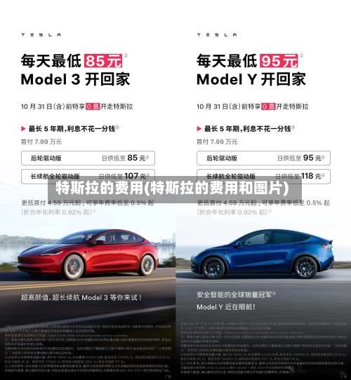 特斯拉的费用(特斯拉的费用和图片)