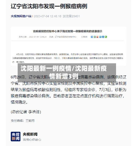 沈阳最新一例疫情/沈阳最新疫情新增3例-第2张图片