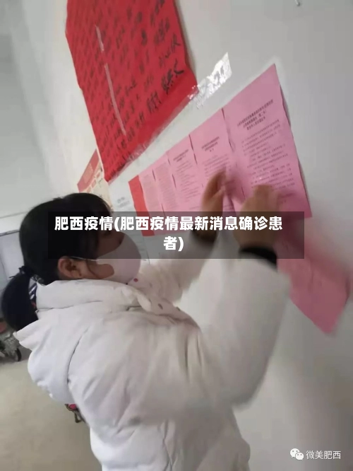 肥西疫情(肥西疫情最新消息确诊患者)-第2张图片
