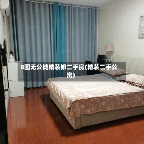 8图无公摊精装修二手房(精装二手公寓)