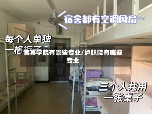 宜宾学院有哪些专业/泸职院有哪些专业-第2张图片