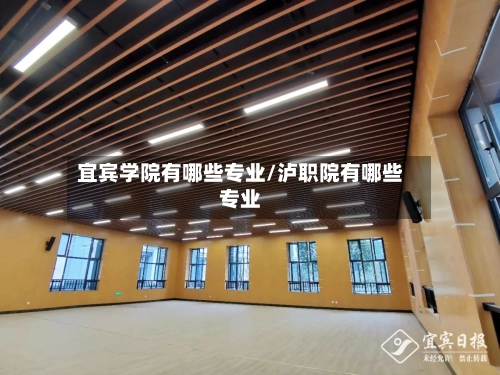 宜宾学院有哪些专业/泸职院有哪些专业
