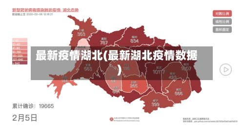 最新疫情湖北(最新湖北疫情数据)