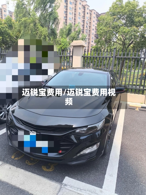 迈锐宝费用/迈锐宝费用视频