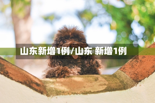 山东新增1例/山东 新增1例
