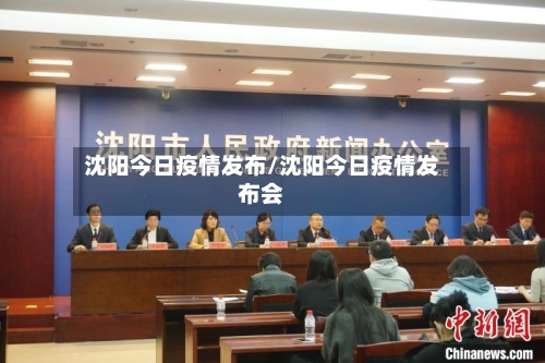 沈阳今日疫情发布/沈阳今日疫情发布会-第2张图片