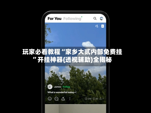 玩家必看教程“家乡大贰内部免费挂”开挂神器{透视辅助}全揭秘-第3张图片